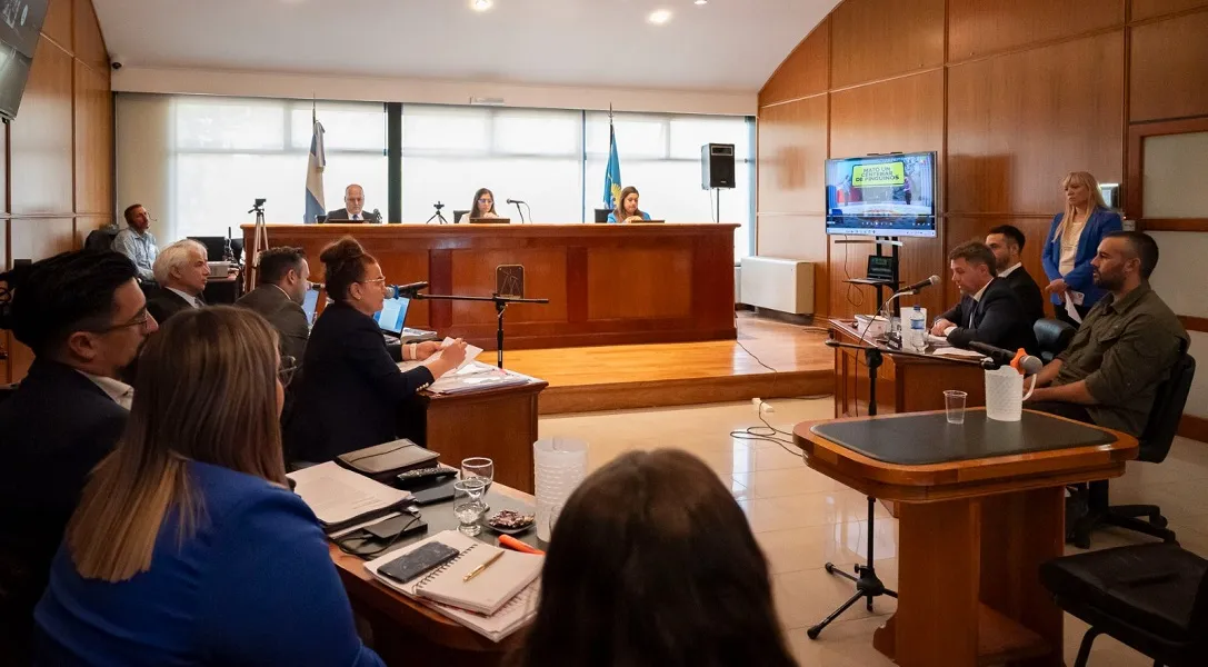 juicio pingüinos