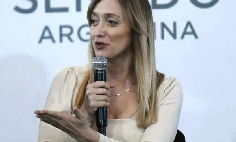 fernandez sagasti
