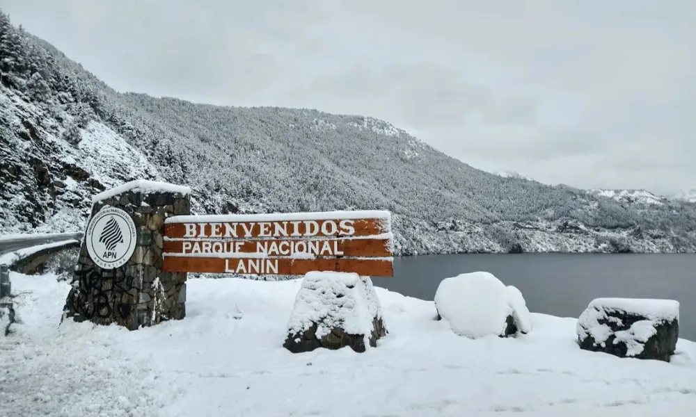 Parque Nacional Lanín