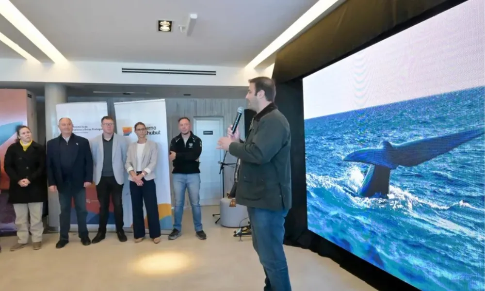 Lanzamiento de la temporada de ballenas