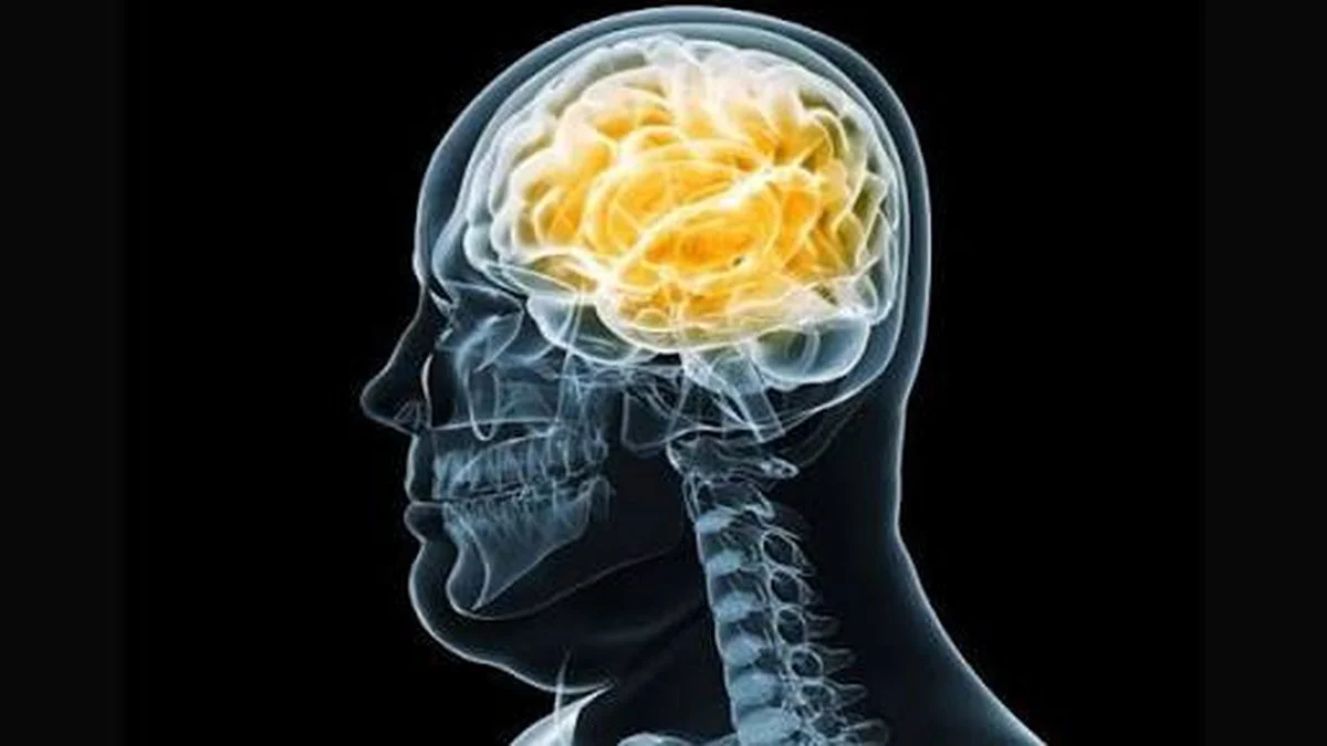 Cerebro y obesidad