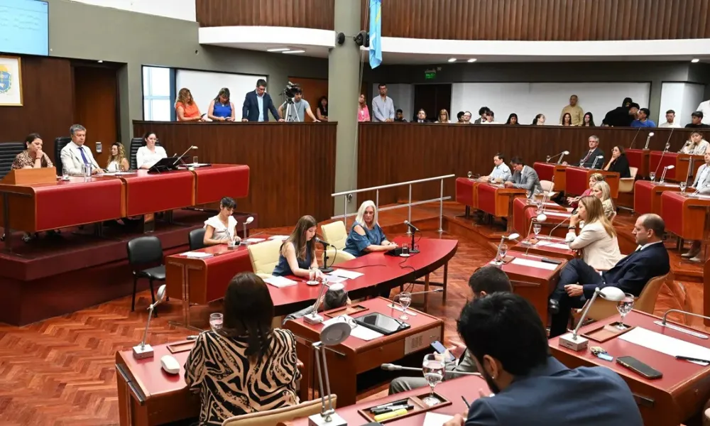 informe de gestión de senadores por Chubut