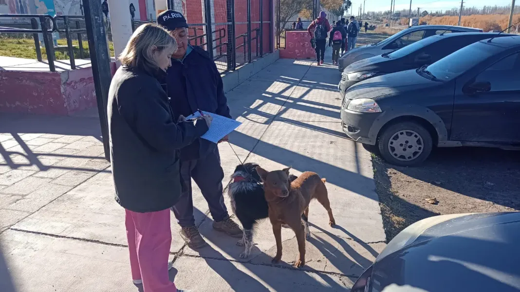 Zoonosis Trelew