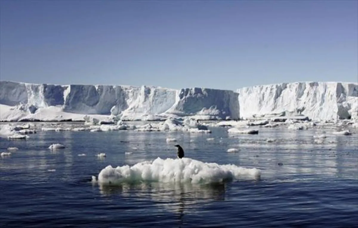 Bird flu and the fear of arriving in Antarctica