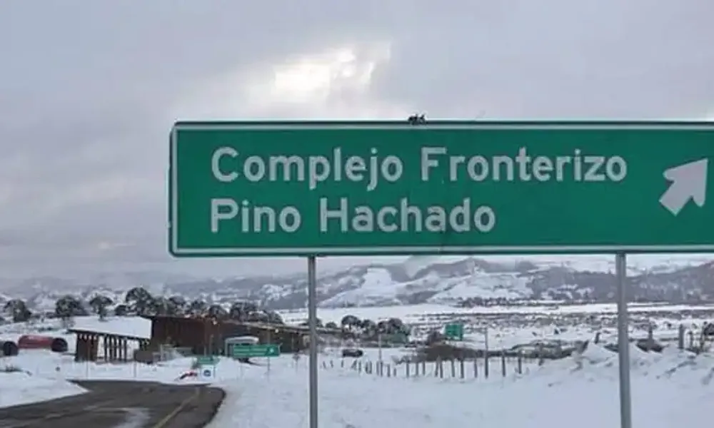 Pino Hachado