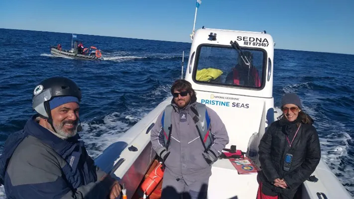 Proyectos de conservación marina