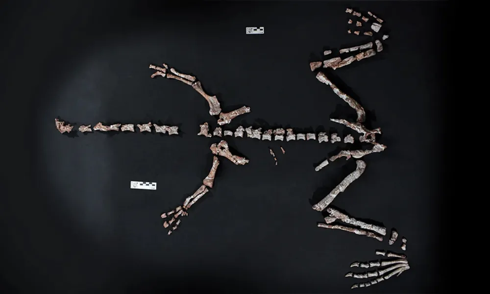 Dinosaurio
