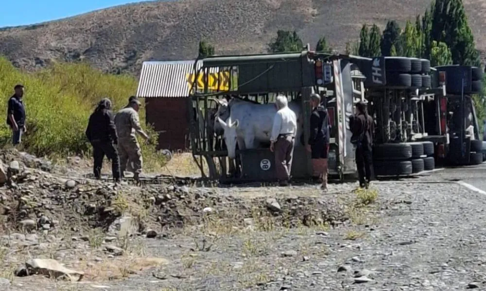 Volcó un camión del Ejército (Foto: En Contacto Con la Gente)
