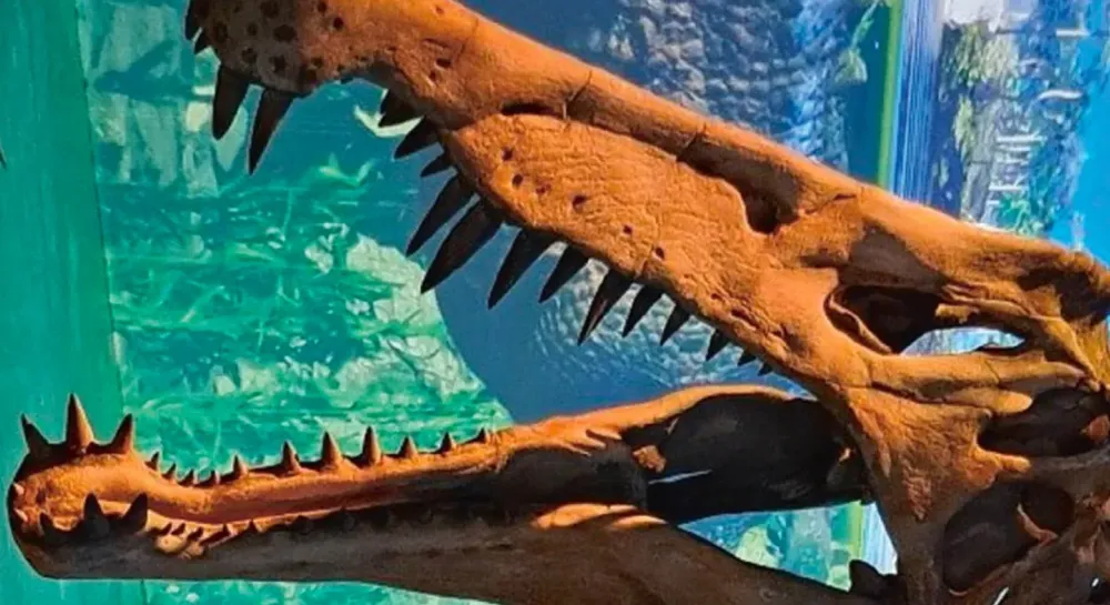 dinosairios