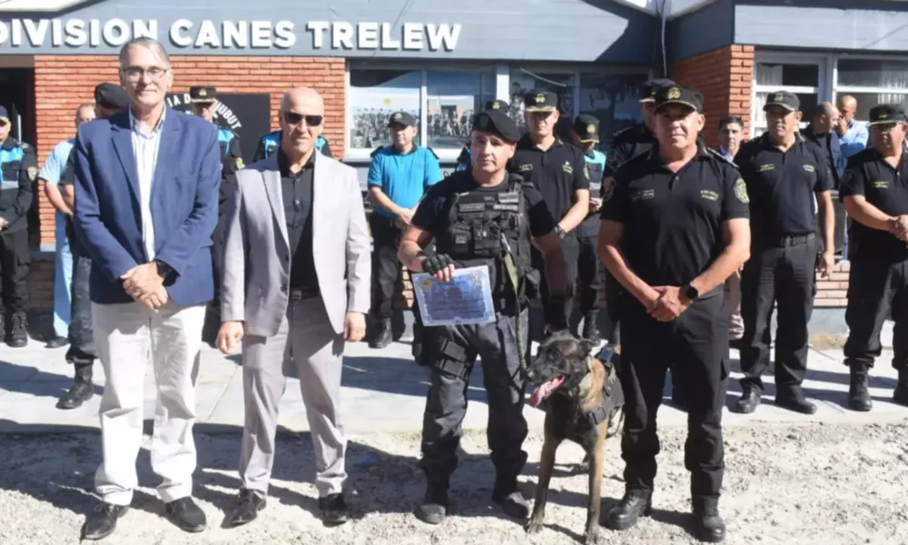 División canes de Trelew