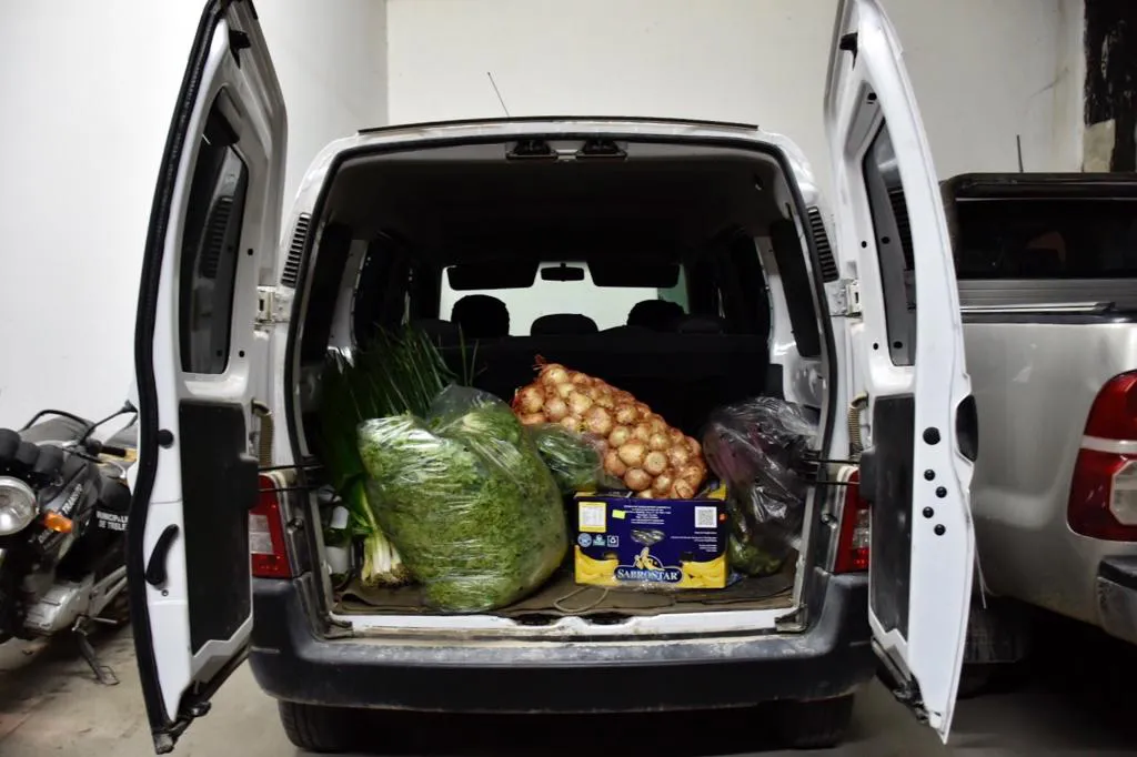 Transporte alimentos imagen  2
