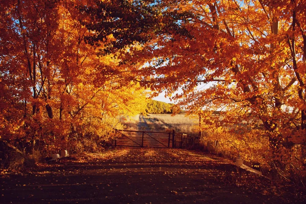 Otoño en 28 de Julio