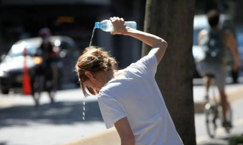 calor muro