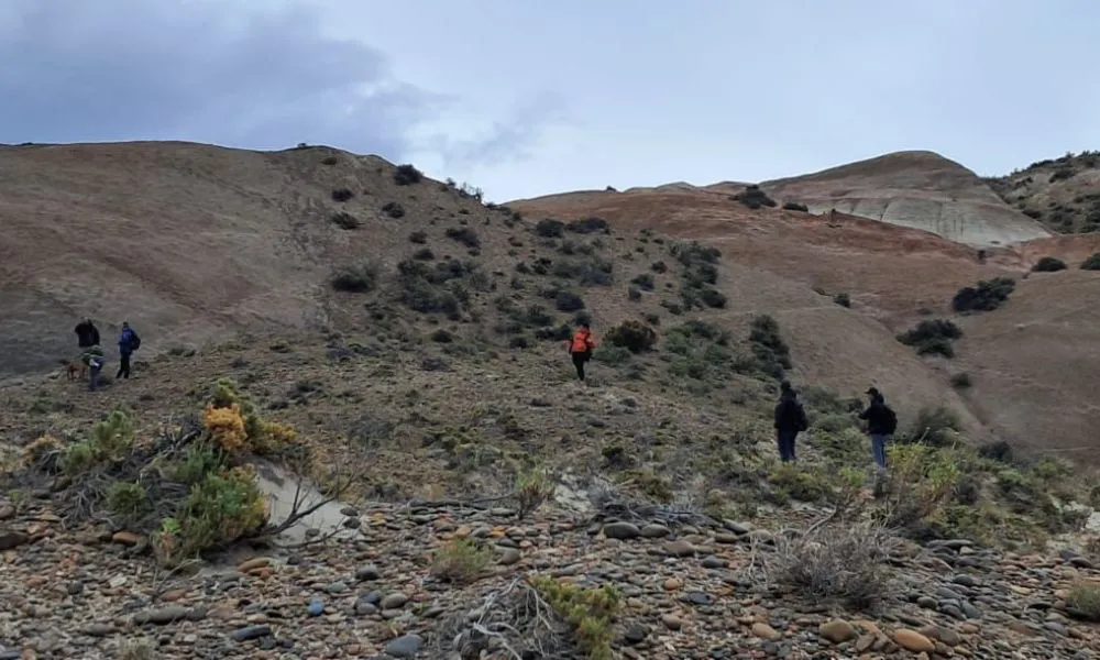 Búsqueda de pareja desaparecida