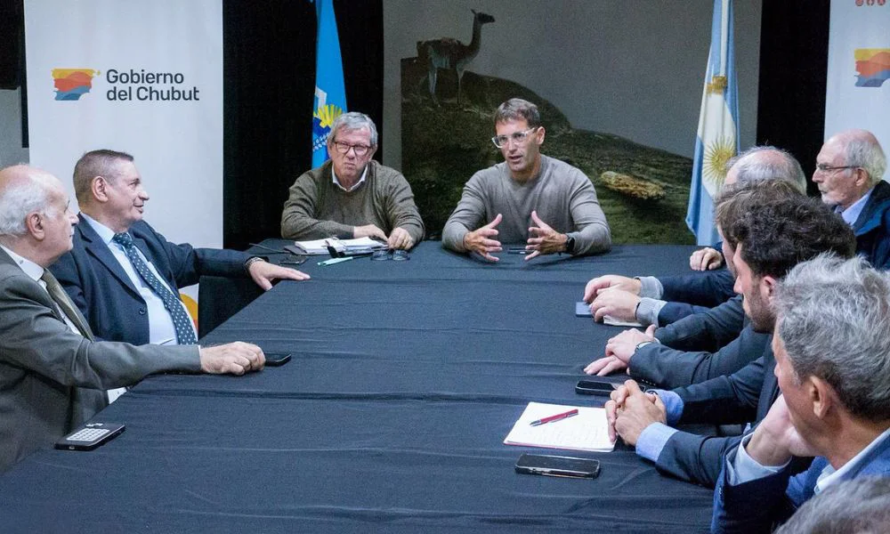 Chubut busca meterse en el negocio de los data centers
