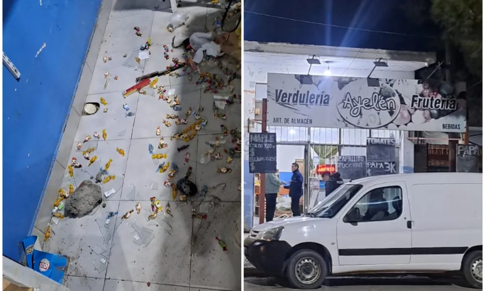 Destrozos en la verduleria