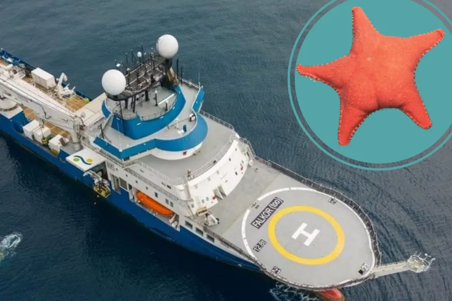 Llega el barcoFalkor (too)-3