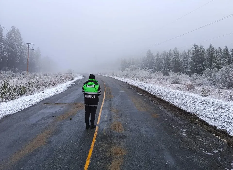 WhatsApp Image 2024-06-04 at 13.41.23