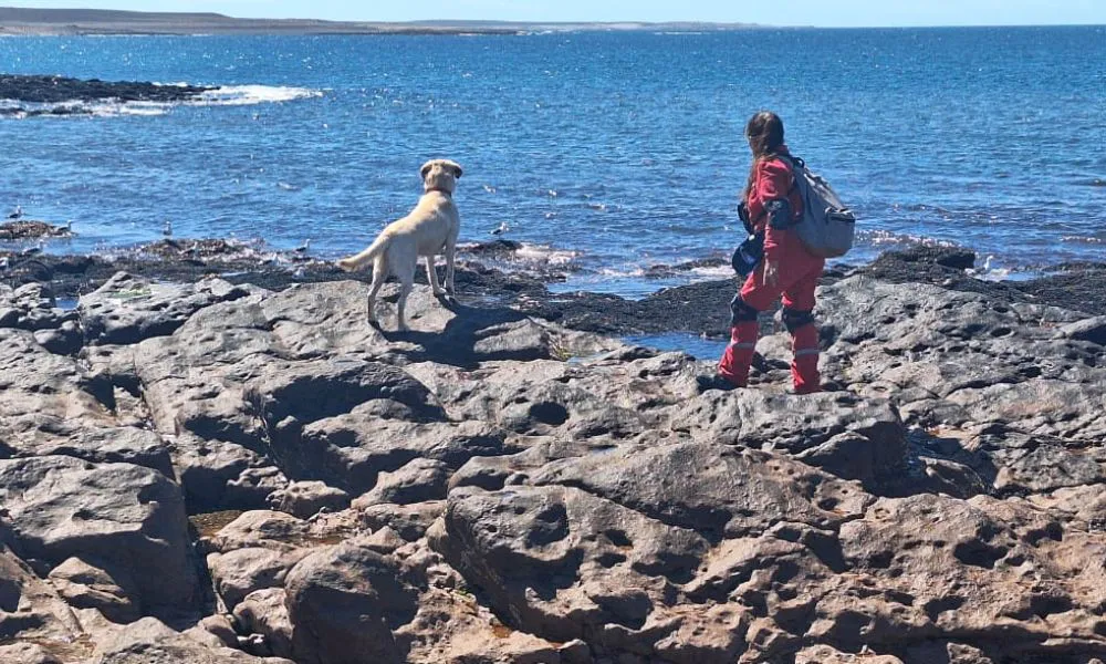 Continúa la búsqueda de la pareja desaparecida en Comodoro
