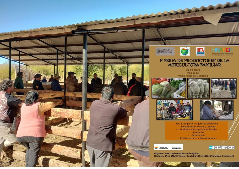 FERIA DE AGRICULTURA FAMILIAR EN GUALJAINA