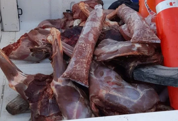Carne secuestrada
