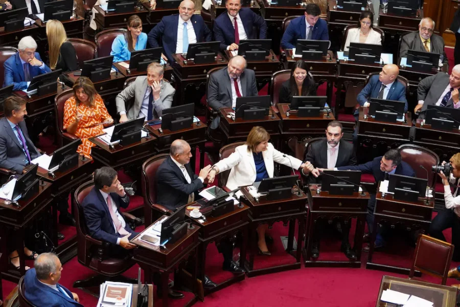 El Senado aprobó el Régimen Penal Juvenil