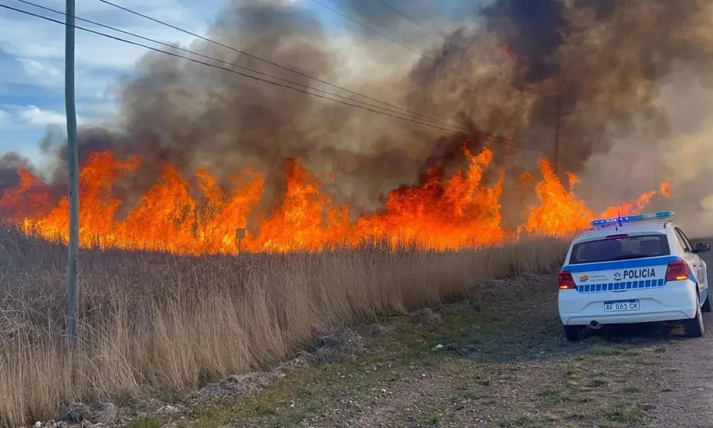 Incendio en ruta 7