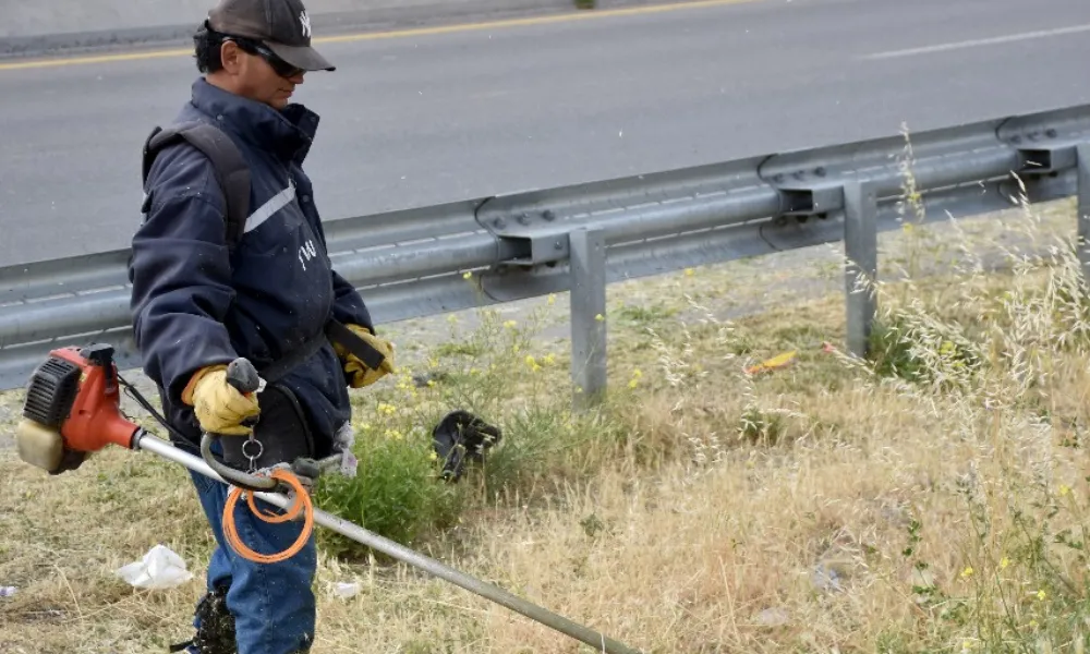 desmalezamiento desmalezamiento