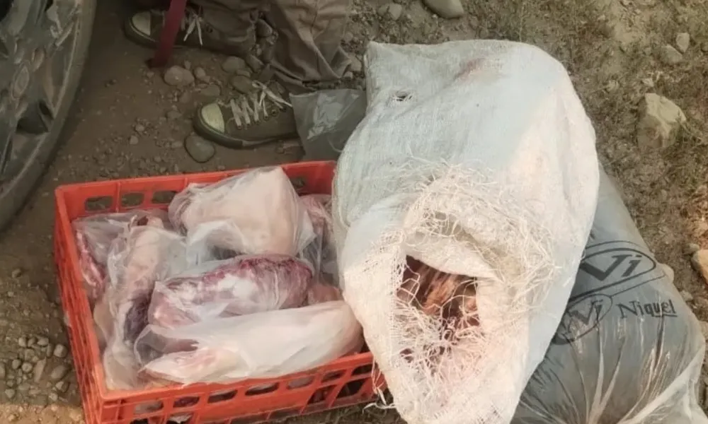 carne secuestrada