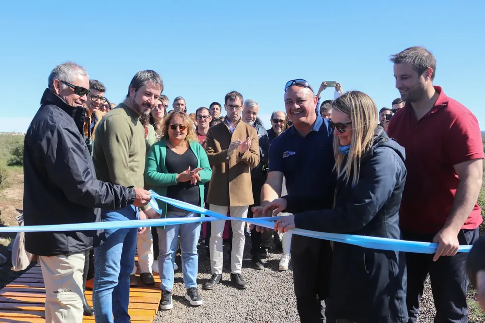 Temporada de Pingüinos en Punta Tombo