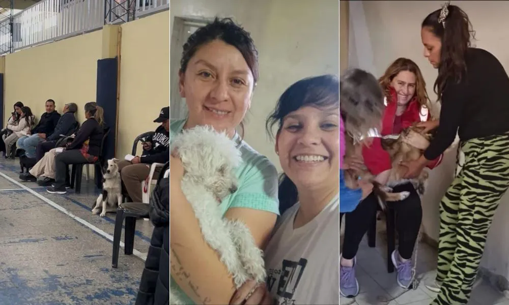 Campaña cuidado responsable de mascotas