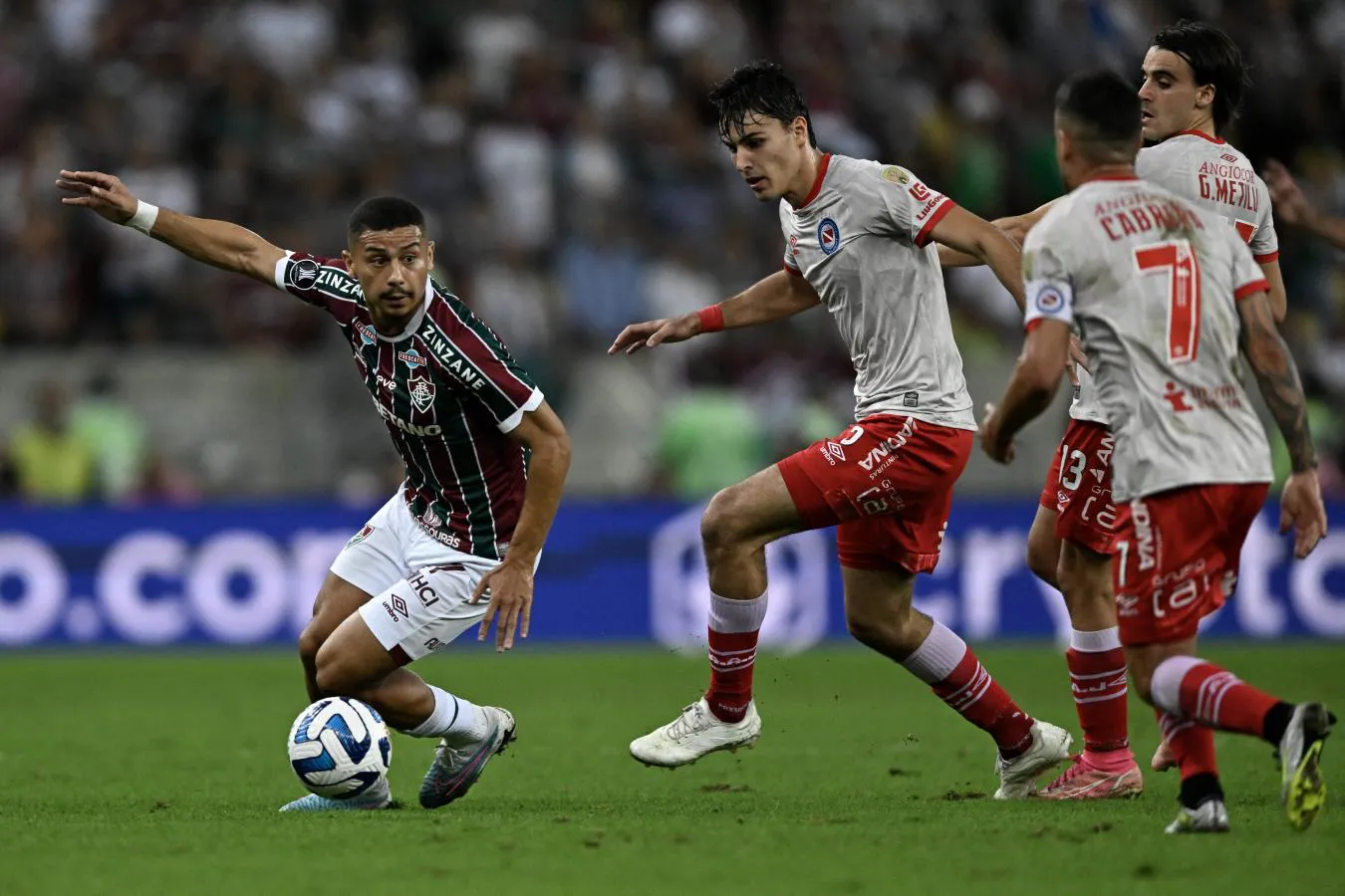 EL BICHO QUEDÓ AFUERA