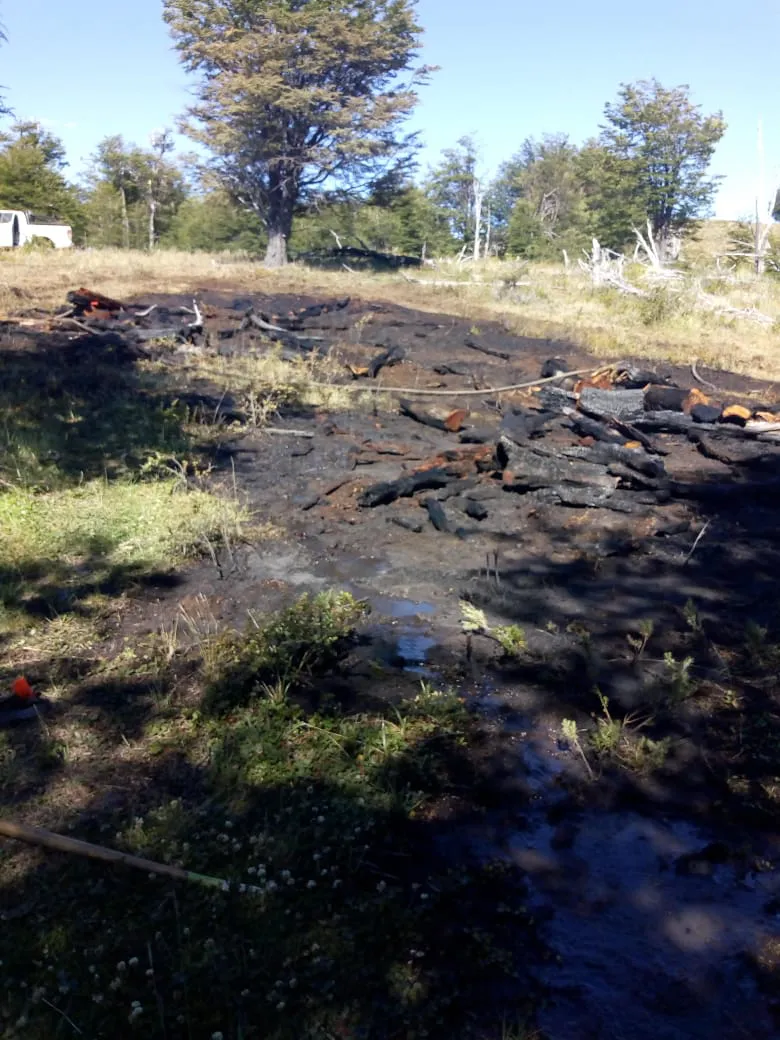 Se logro extinguir incendio en Rio Pico