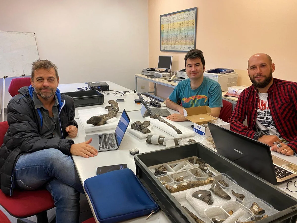 Equipo de investigadores