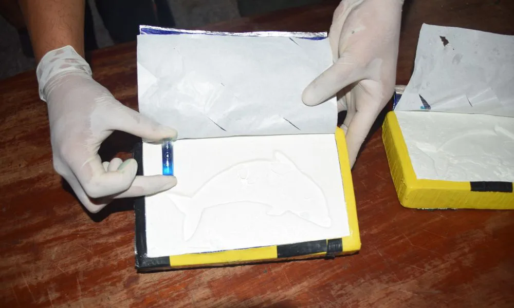 Dos parlantes, un control y 41 kilos de cocaína