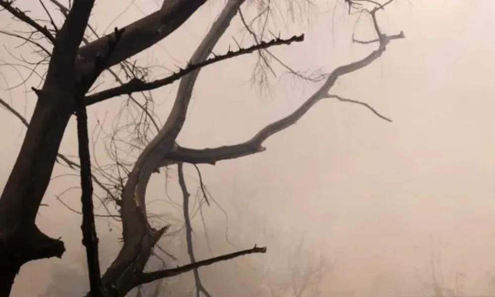 Humo incendios Estados Unidos