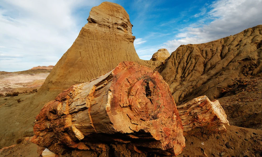 bosque petrificado en Sarmiento