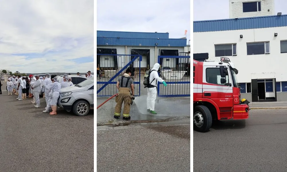 planta pesquera madryn amoniaco escape