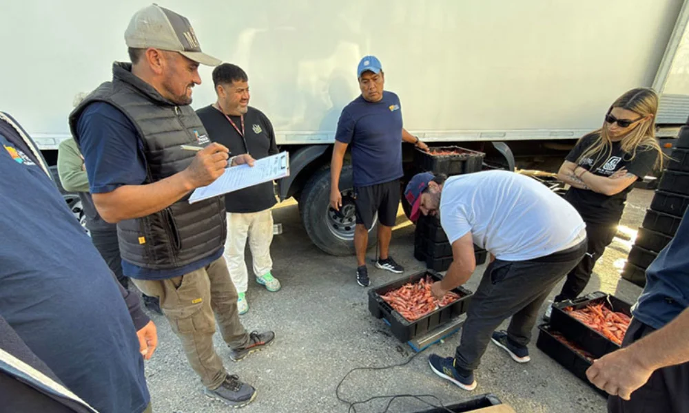 Trabajadores de la Secretaría de Pesca de Chubut
