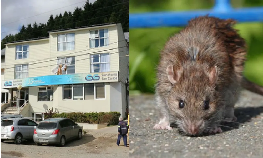 Muerte por Hantavirus