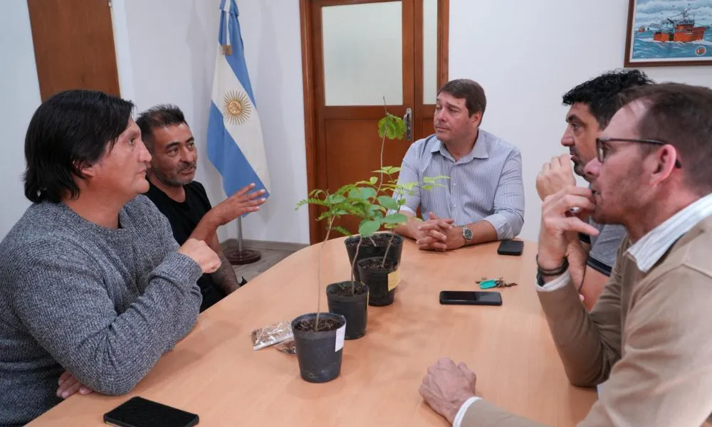 reforestación rw