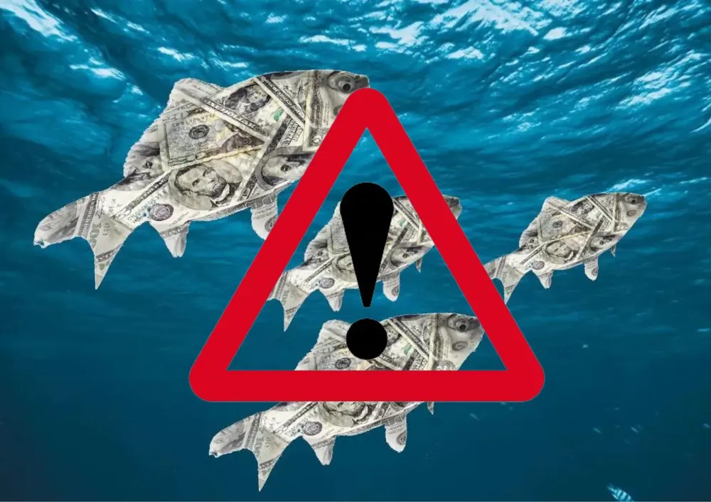 Ley de Pesca con incertidumbre por Mega DNU