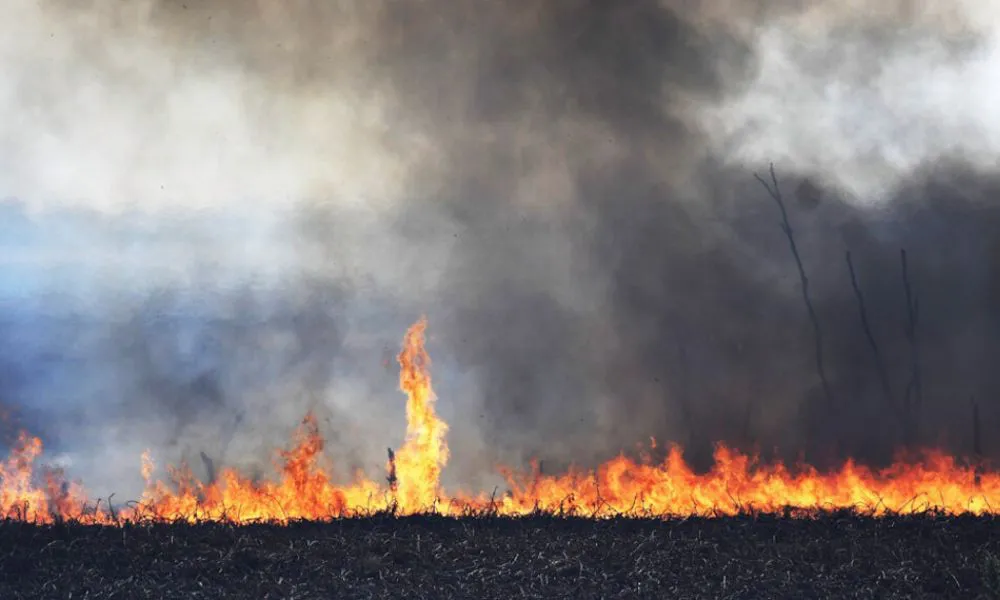 incendio pastizales