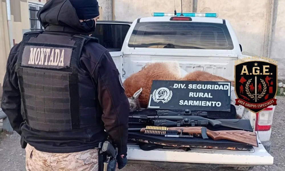 Cazadores ilegales transportaban un guanaco en Sarmiento
