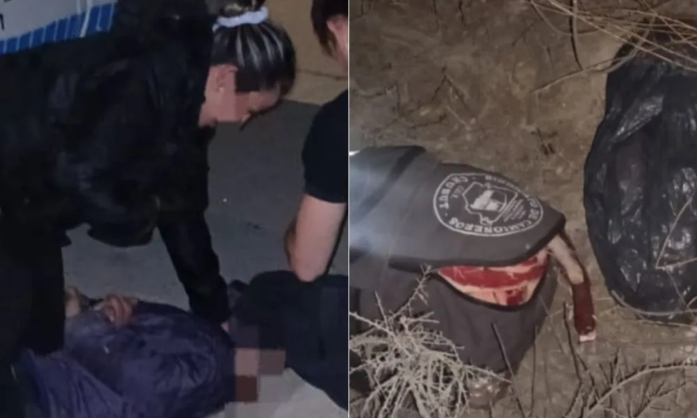 Robó en una carnicería y fue aprehendido