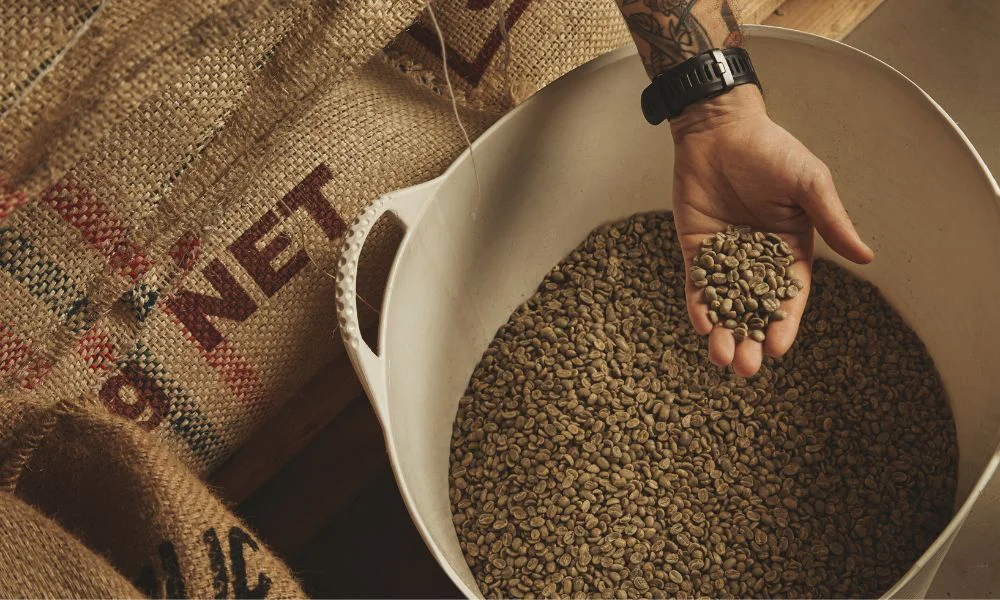 Café verde venezolano. Foto Freepik