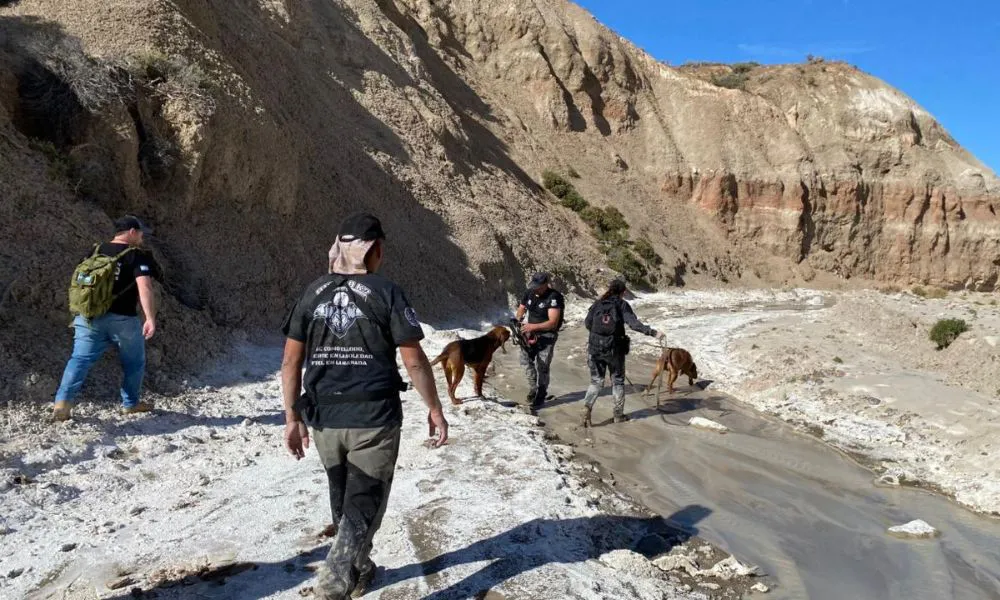 Suman perros rastraedores y drones a la búsqueda de la pareja desaparecida en Comodoro