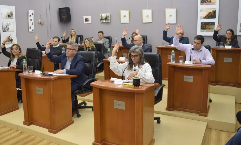 Concejo Deliberante de Puerto Madryn agosto 2025