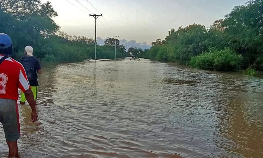 Chaco Salteño