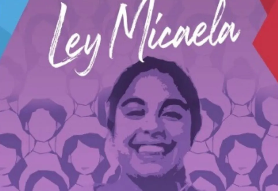 Ley Micaela